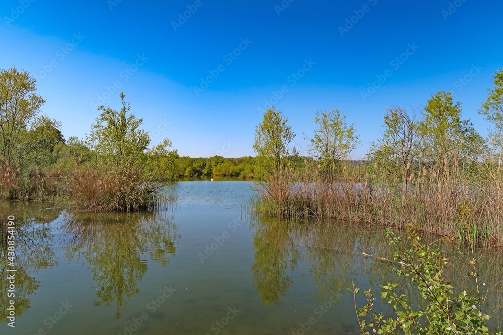 Les étangs du parc de Miribel-Jonage Les étangs du parc de Miribel-Jonage