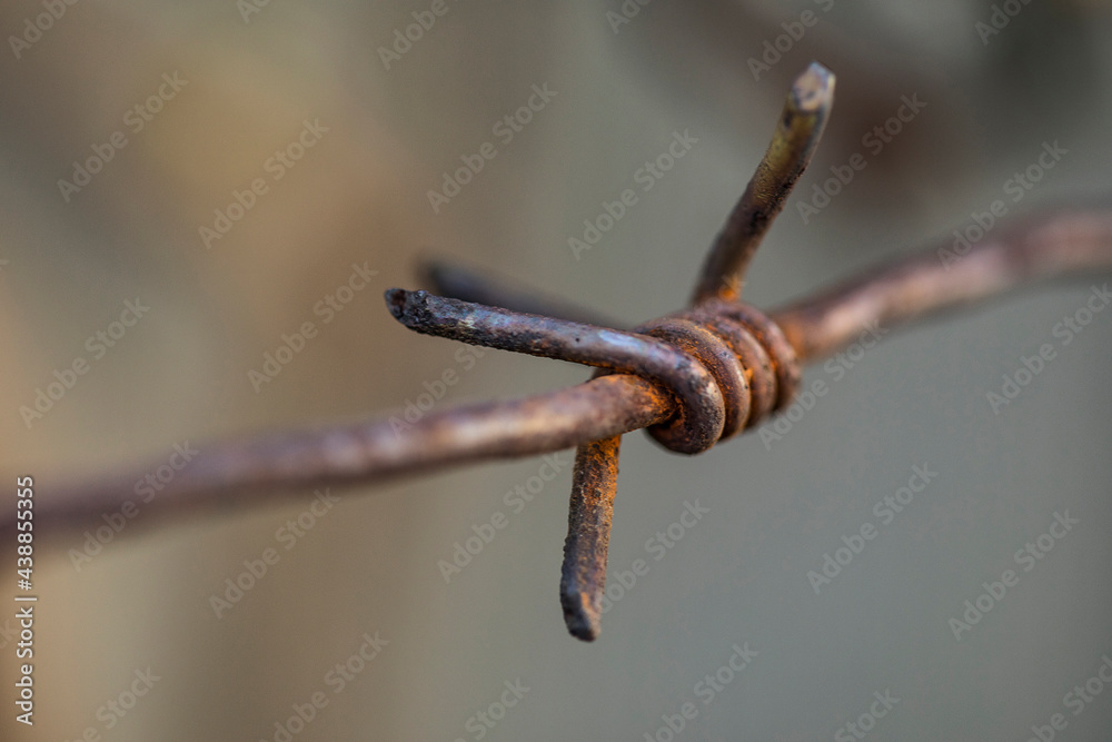 Barbed wire for imprisonment for offenders.Barbed wire for the siege area. Barbed wire for imprisonment for offenders.Barbed wire for the siege area.
