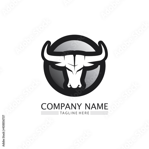 Bull buffalo head cow animal mascot logo design vector for sport horn buffalo animal mammals head logo wild matador