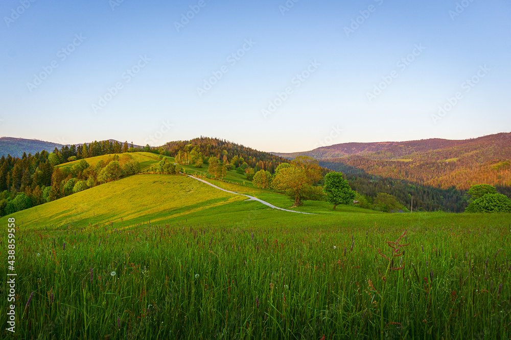 Obraz premium Wisła - Cieńków | Śląsk, Polska