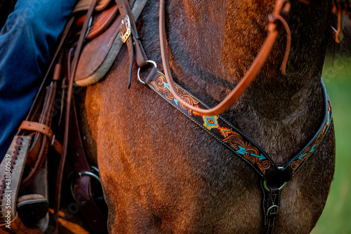 Breastcollar and Sunset photo