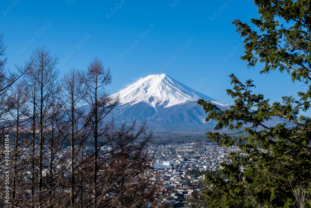 View of Mount Fuji with tree, Fuji san in Japanese, Mount Fuji's exceptionally symmetrical cone, which is snow capped for about five months a year. It is a well known as the symbol of Japan.