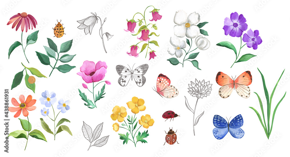 Watercolor botanical floral illustration with wildflowers and butterflies 