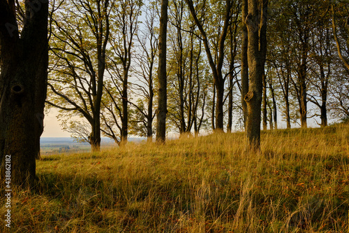 Landschaft und Weinberge rings um den Weinort Castell, Landkreis Kitzingen, Unterfranken, Bayern, Deutschland