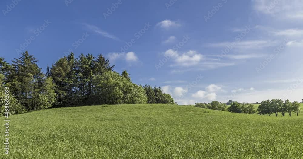 Timelapse summer meadow with trees and light clouds , stavanger