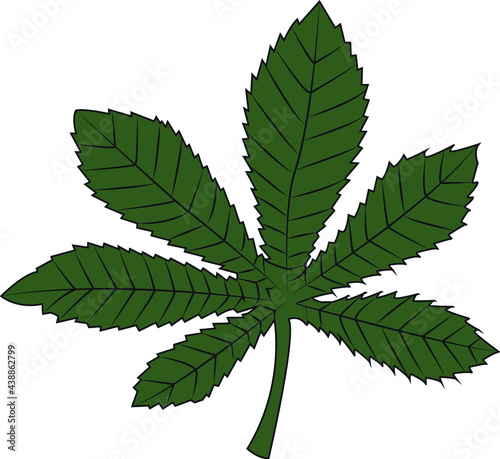 Autumn, summer green vector leaf flat illustration