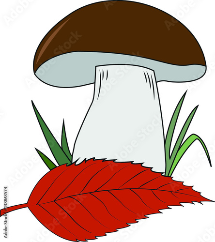 Autumn forest mushroom and leaf vector illustration