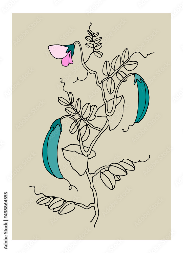 Naklejka premium Home decor printable line art. Hand drawn vector illustrations of pea plant with pods and flowers on gray background. Contemporary design for prints, posters, cards, textile