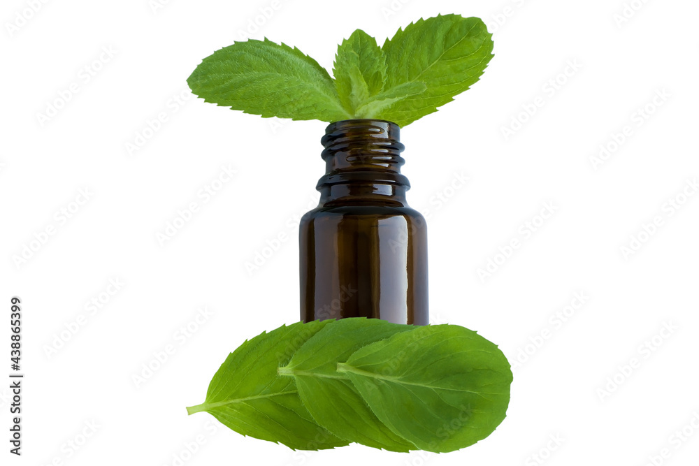 melissa essential oil container with melissa leaves and flowers isolated white melissa essential oil container with melissa leaves and flowers isolated white