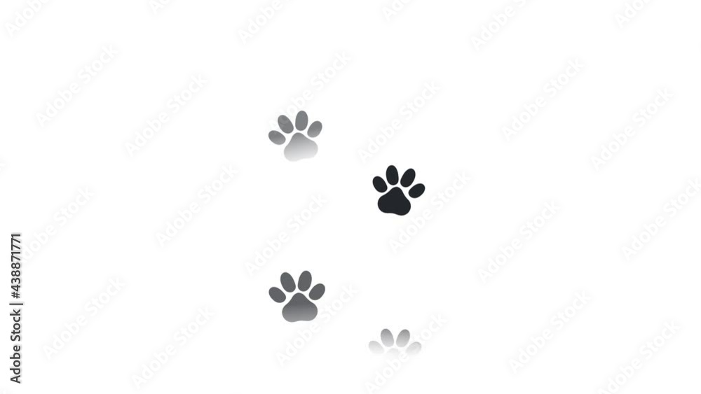 Animal footprint animation, alpha channel enabled. Cartoon Animal footprint animation, alpha channel enabled. Cartoon