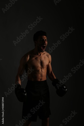 Boxer on gray background in shadows