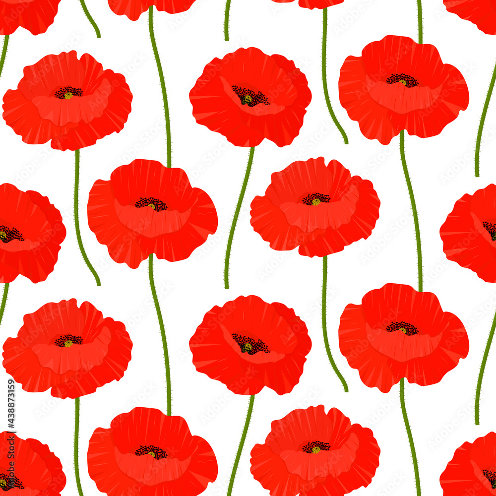 Obraz premium Seamless pattern poppies flowers vector illustration. Provence wildflowers