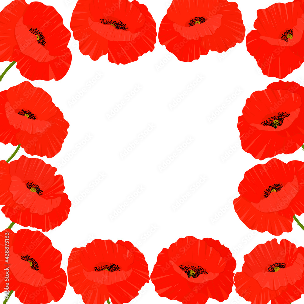 Frame poppies flowers vector illustration. Postcard зrovence wildflowers
Frame poppies flowers vector illustration. Postcard зrovence wildflowers