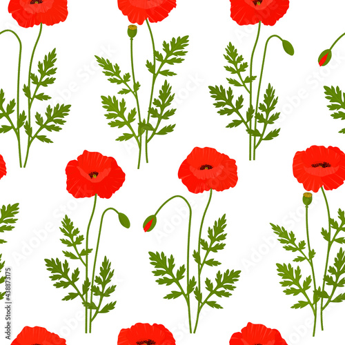 Seamless pattern poppies flowers vector illustration. Provence wildflowers 