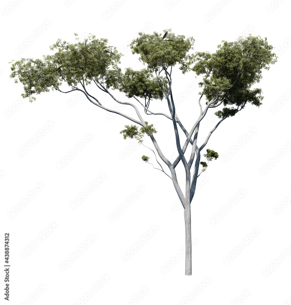 Gum tree 3D render isolated on white background Stock Illustration ...