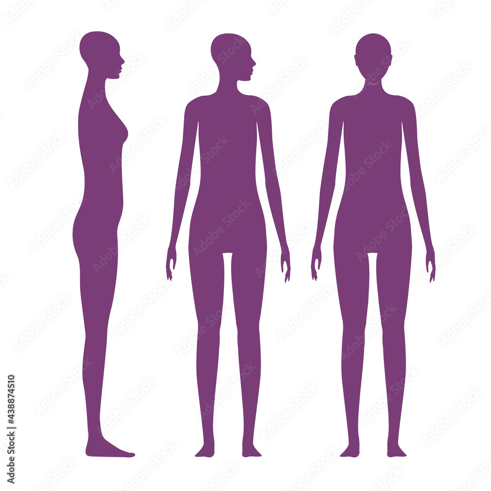 Front and side views human body silhouette of an adult female. Shadow of a standing woman with a head turned to the shoulder. Front and side views human body silhouette of an adult female. Shadow of a standing woman with a head turned to the shoulder.