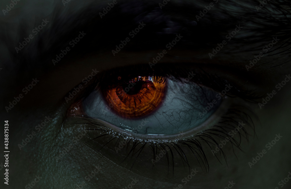 Naklejka premium eye in the dark