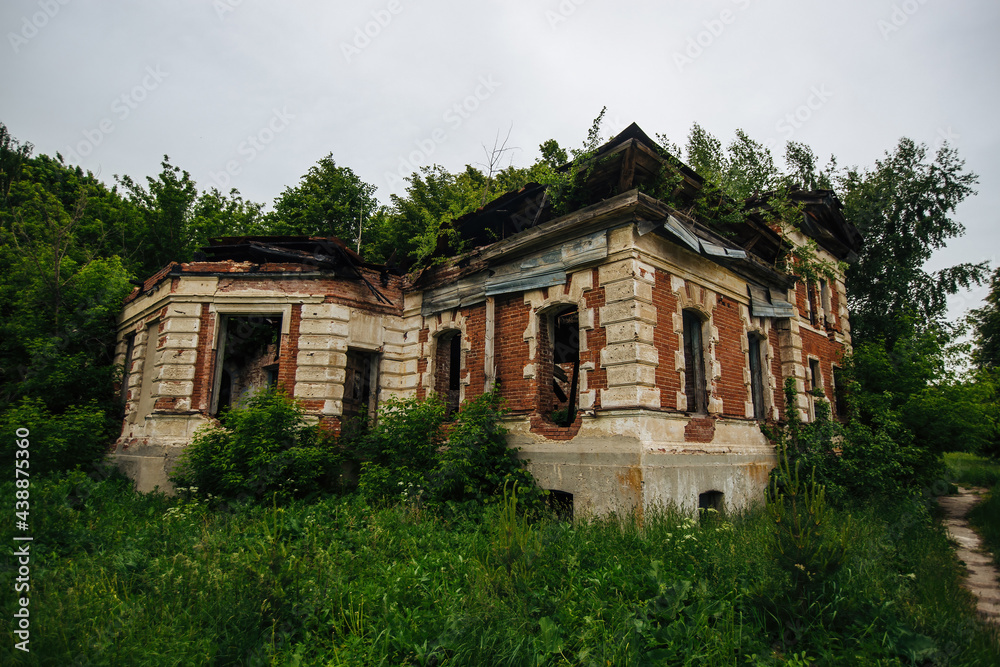Overgrown ruins of abandoned mansion. Former baron von Derviz manor, Ryazan region