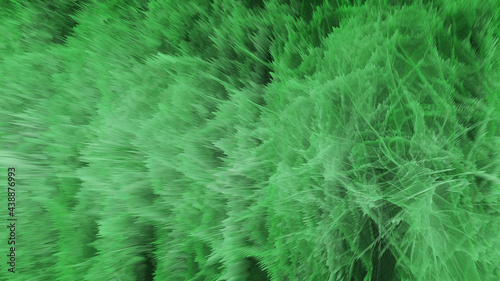 Beautiful Abstract Green Background