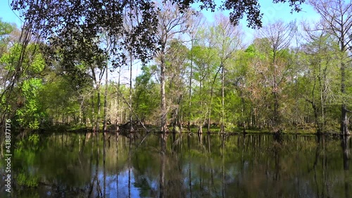 Trees reflecting in a slow moving river