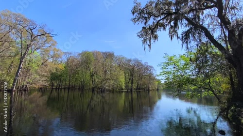 Trees reflecting in a slow moving river