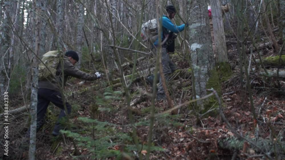 Group of trekkers with heavy backpacks is climbing the mountain through the deep november wood