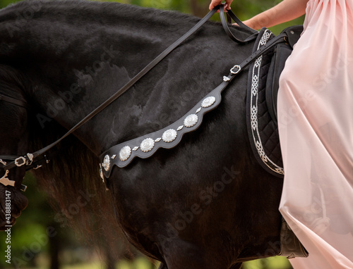 Breast collar photo