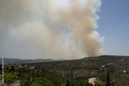 A Forest Fire in Israel