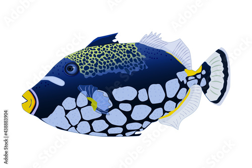 Tropical fish isolated on white background. Clown triggerfish. Sea animal, maritime character. Balistoides conspicillum. Side view. Stock vector illustration © kajani