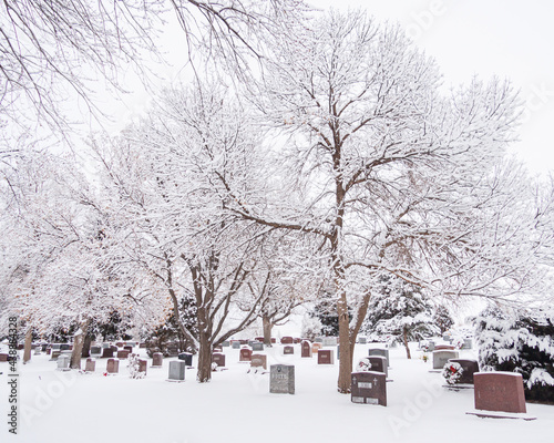Frosted Cemetery - Fairmont Cemetery, Denver, Colorado in winter with frosted trees