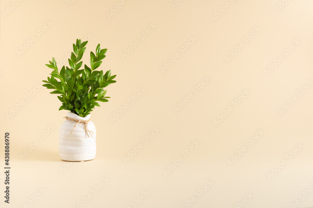 A pearl vase with leaf branches on bright gentle background A pearl vase with leaf branches on bright gentle background