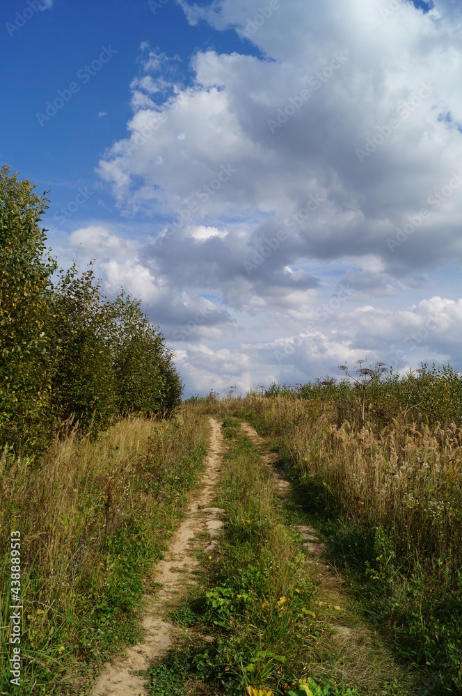 road in the field