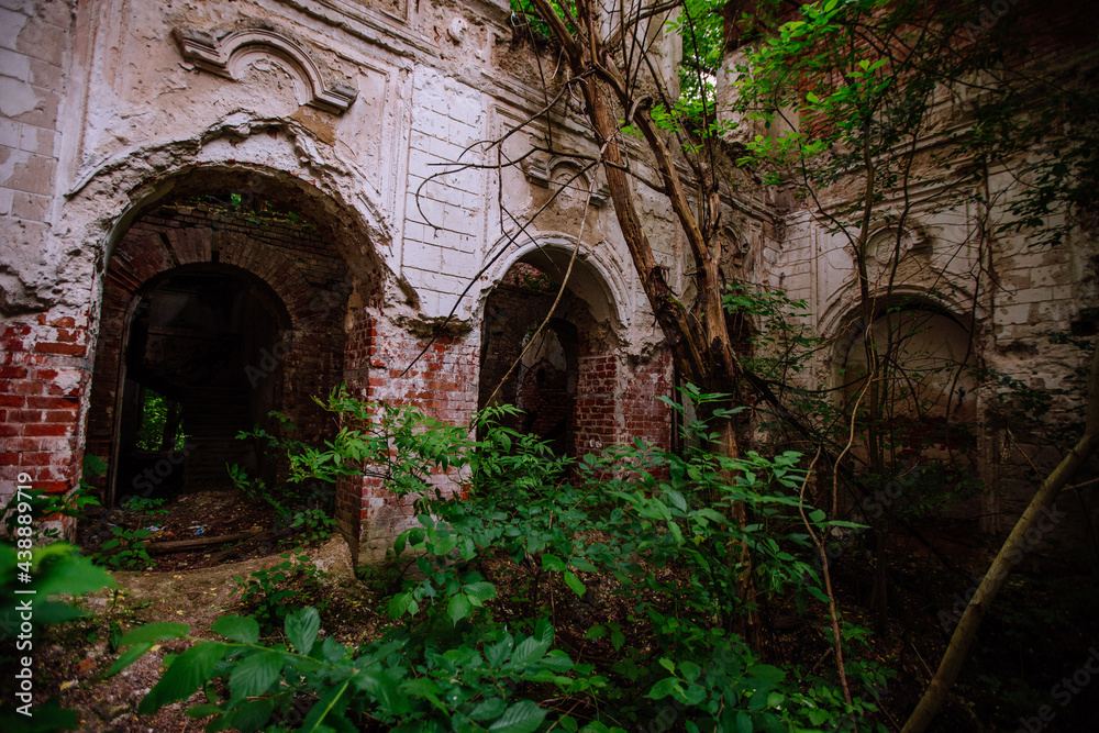 Overgrown ruins of abandoned mansion. Former baron von Derviz manor, Ryazan region