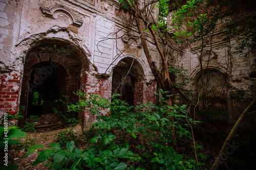 Overgrown ruins of abandoned mansion. Former baron von Derviz manor  Ryazan region