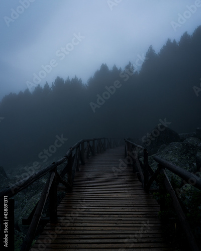 bridge in fog