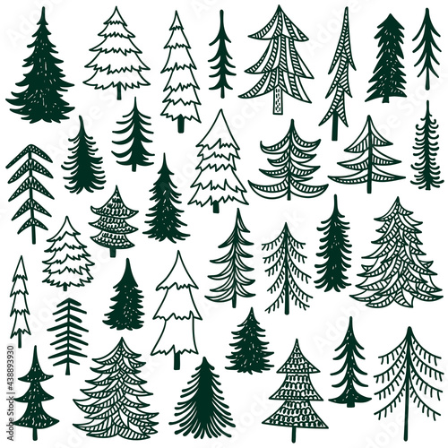 Fir trees hand drawn vector illustration