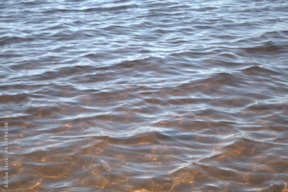 Fototapeta premium clear summer water on the river