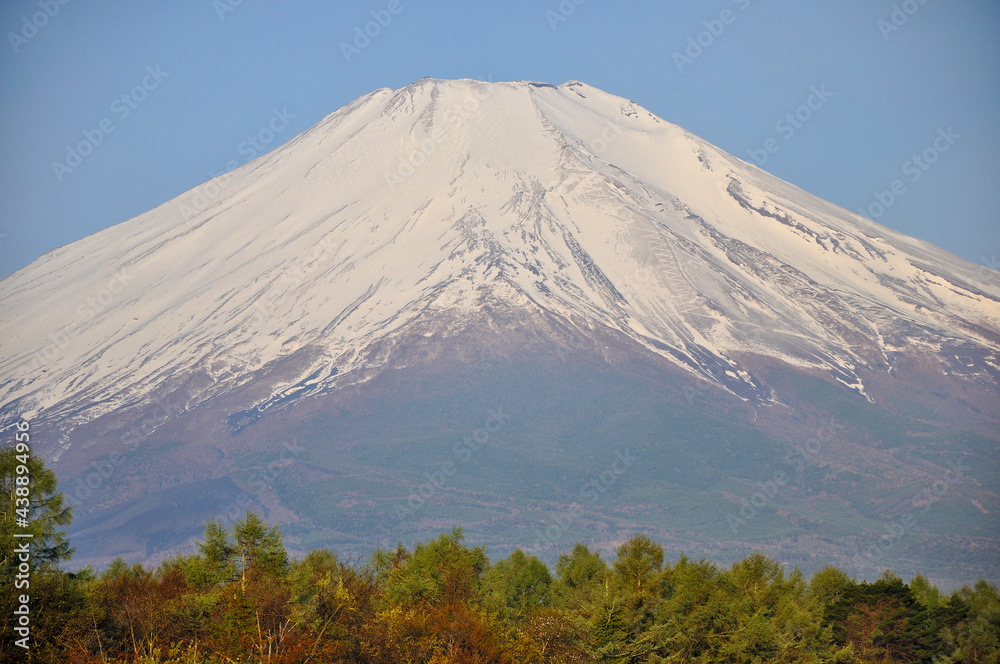 春富士　朝の山中湖村平野より望む