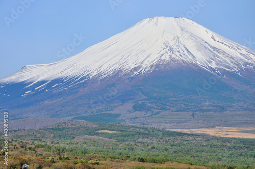 山中湖村パノラマ台より望む春の富士山