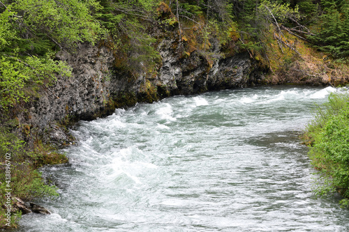 Whitewater rapids in a bend of Alaska s Canyon Creek on the Kenai Peninsula.