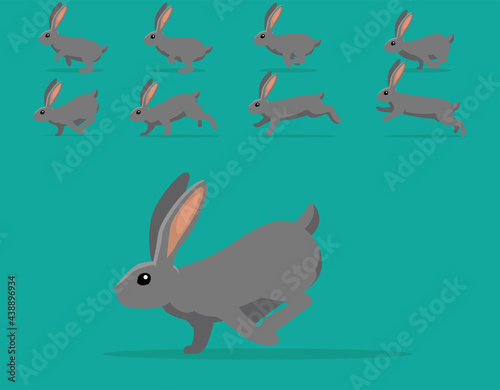 Animal Animation Sequence Rabbit Continental Giant Cartoon Vector