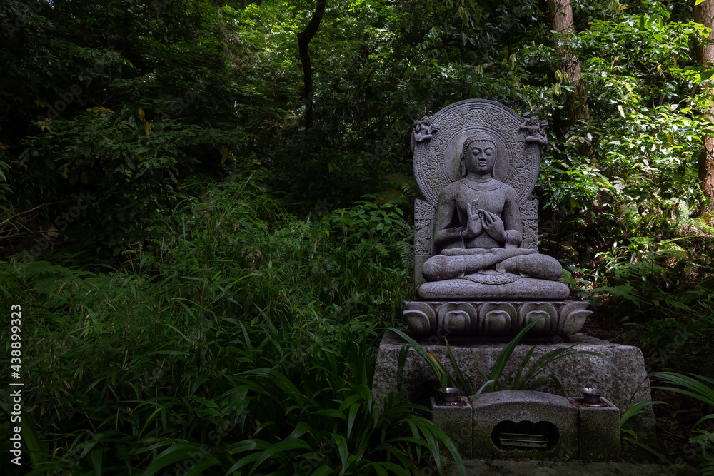 Buddha in the Forest