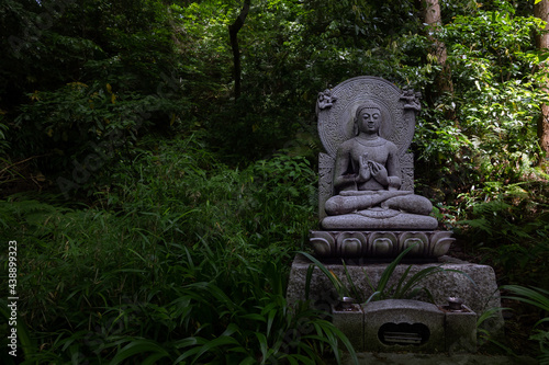 Buddha in the Forest