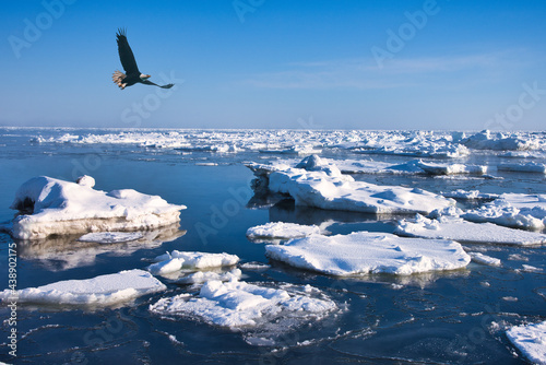 オホーツク海の流氷原と鷲合成