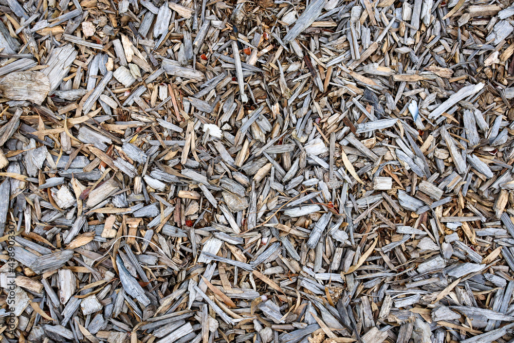 full frame of wood chips full frame of wood chips