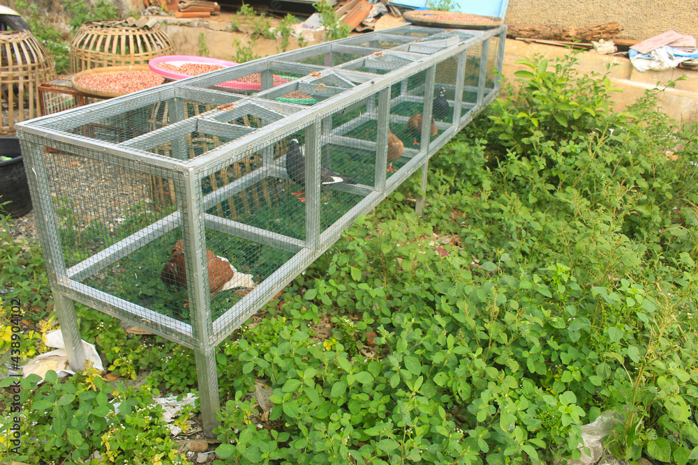 unique and strong pigeon cage because it is made of steel frame unique and strong pigeon cage because it is made of steel frame