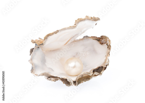 Open oyster with pearl isolated on white background photo