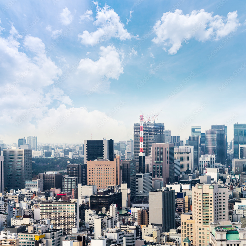 Cityscape of Tokyo city, japan. Aerial skyscraper view of office building and downtown of tokyo with sunset/ sun rise background. Tokyo is metropolis and center of new world's modern business Cityscape of Tokyo city, japan. Aerial skyscraper view of office building and downtown of tokyo with sunset/ sun rise background. Tokyo is metropolis and center of new world's modern business