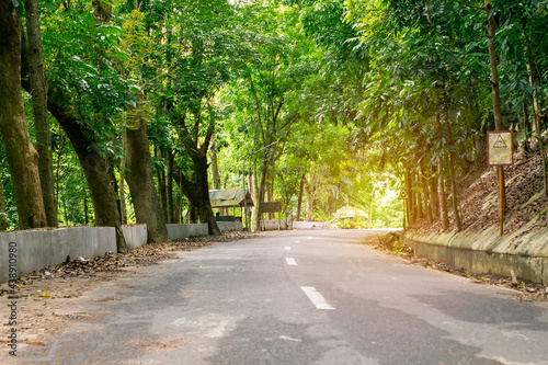 A rustic empty highway road surrounded by lush trees in the middle of the forest. At Los Banos, Laguna, Philippines. photo