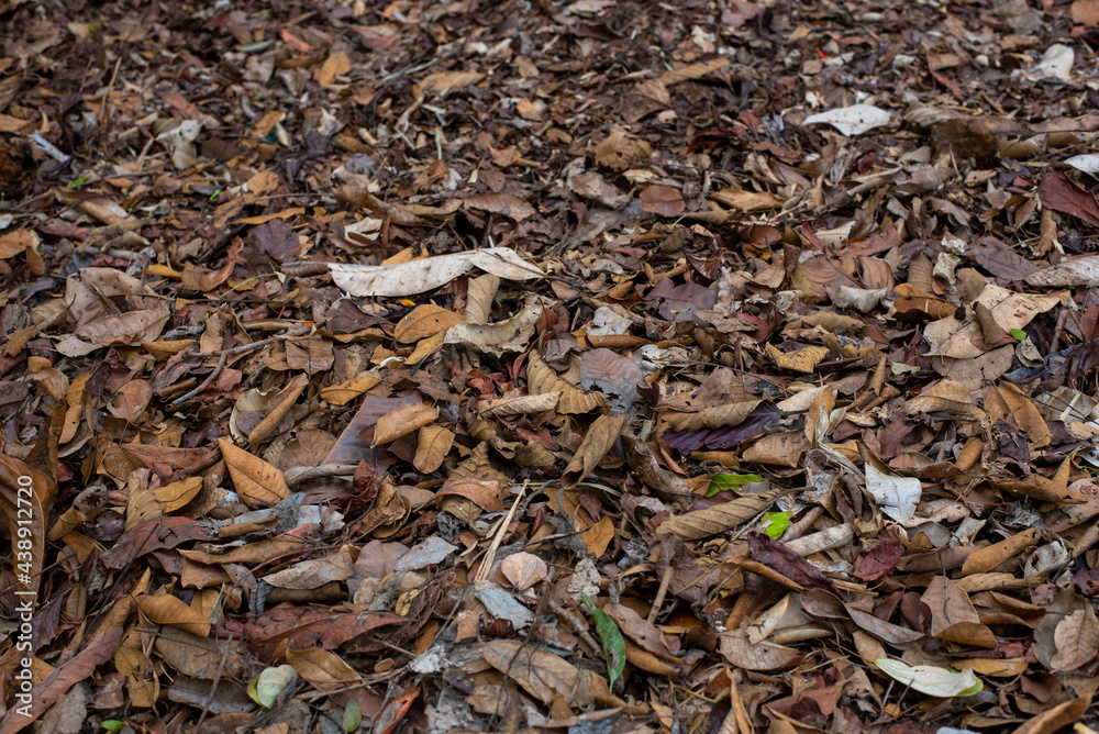 Compost full of dried autumn colored leaves.
